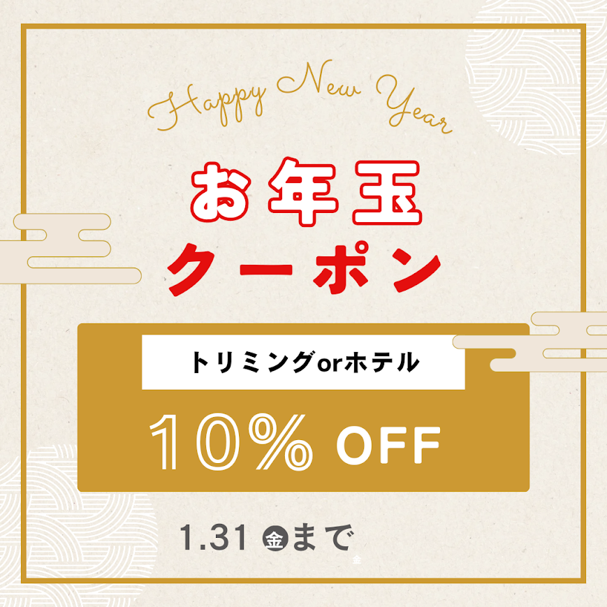 お年玉クーポン
トリミングorホテル
１０％オフ
１月３１日金曜まで